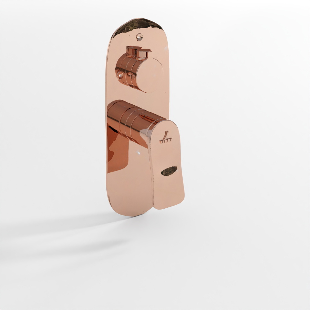 Kit Partie Apparente Aquamax pour Mitigeur de Douche à Levier Unique