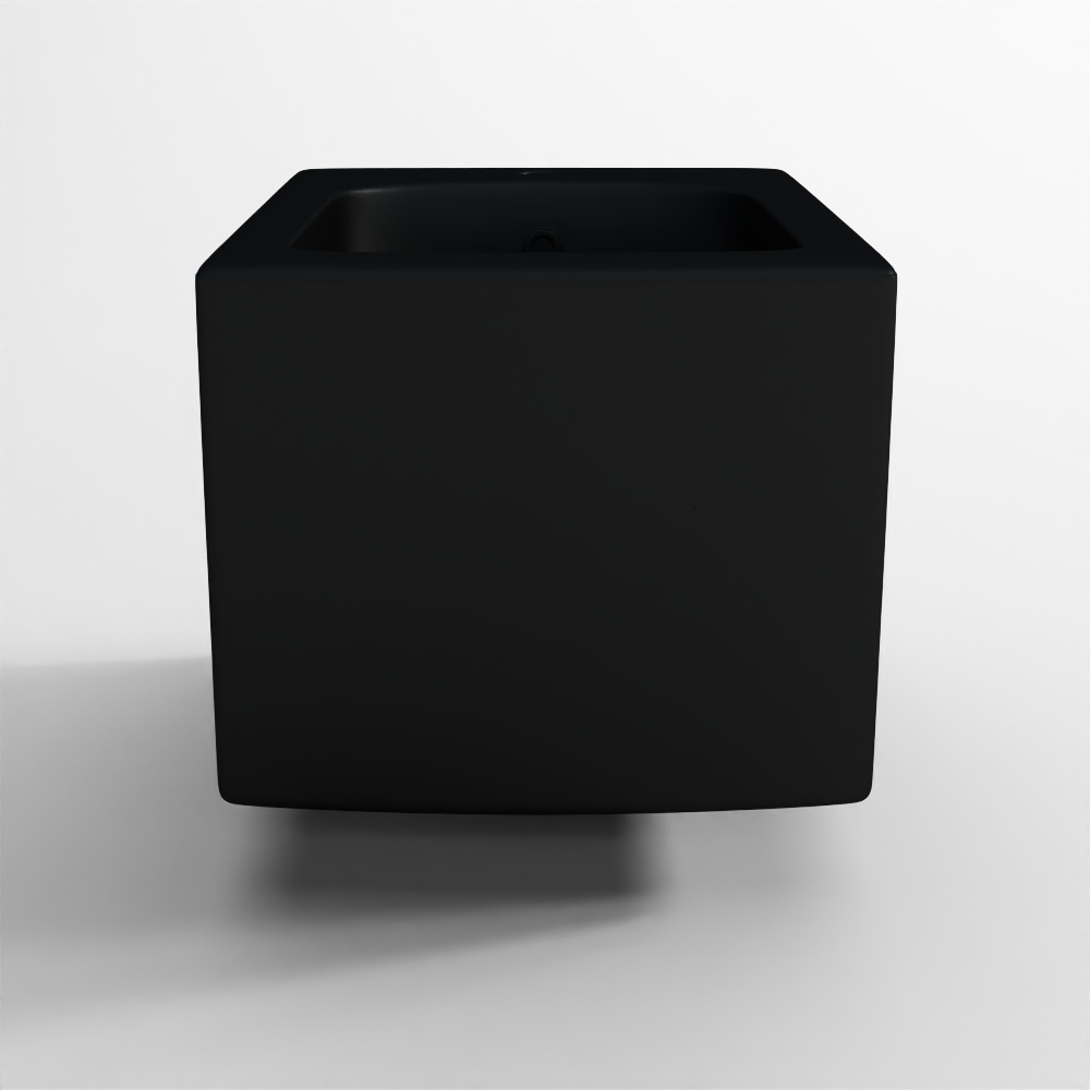 Bidet sospeso con installazione nascosta - Nero opaco