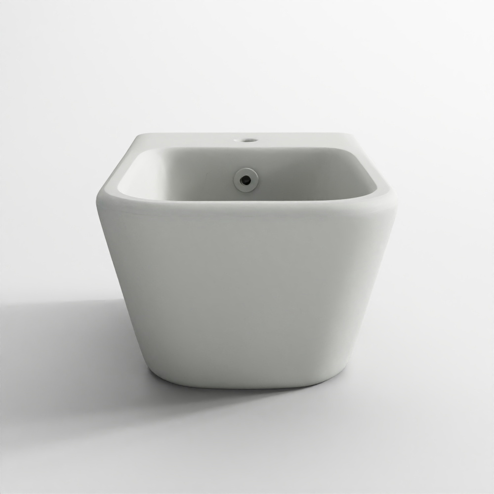 Blind Installation Wall Hung Bidet - White Matt