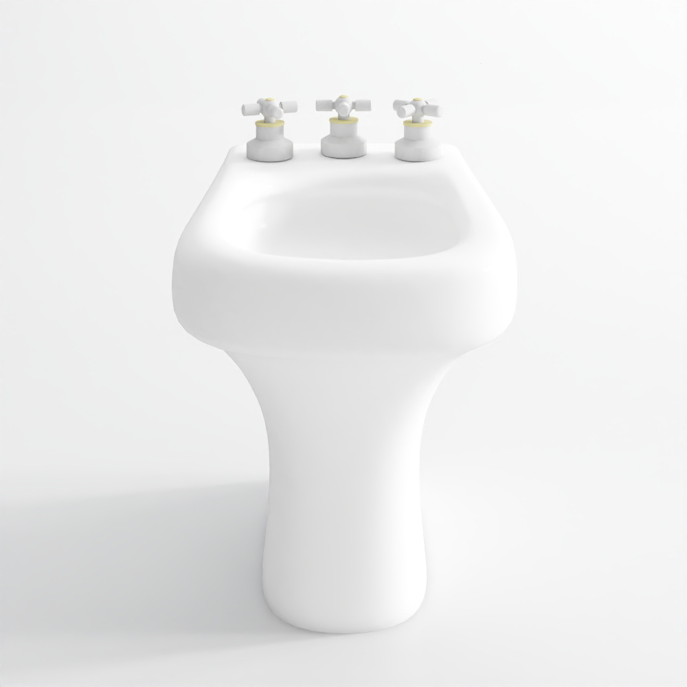 Bidet (25)