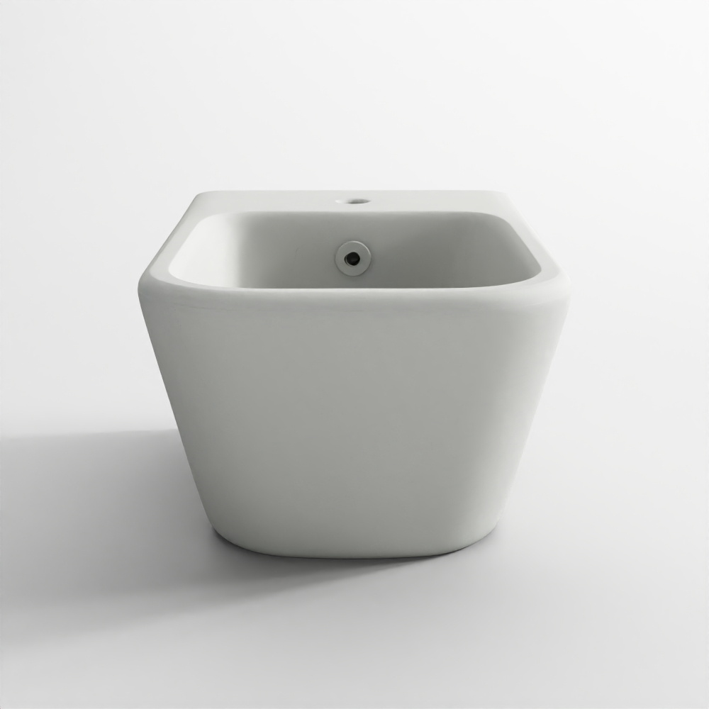 Installation Cachée de Bidet Suspendu - Blanc