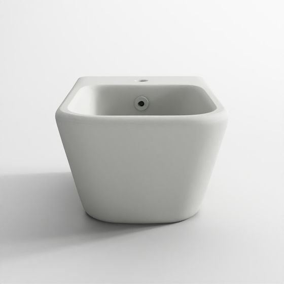 Installation Cachée de Bidet Suspendu - Blanc