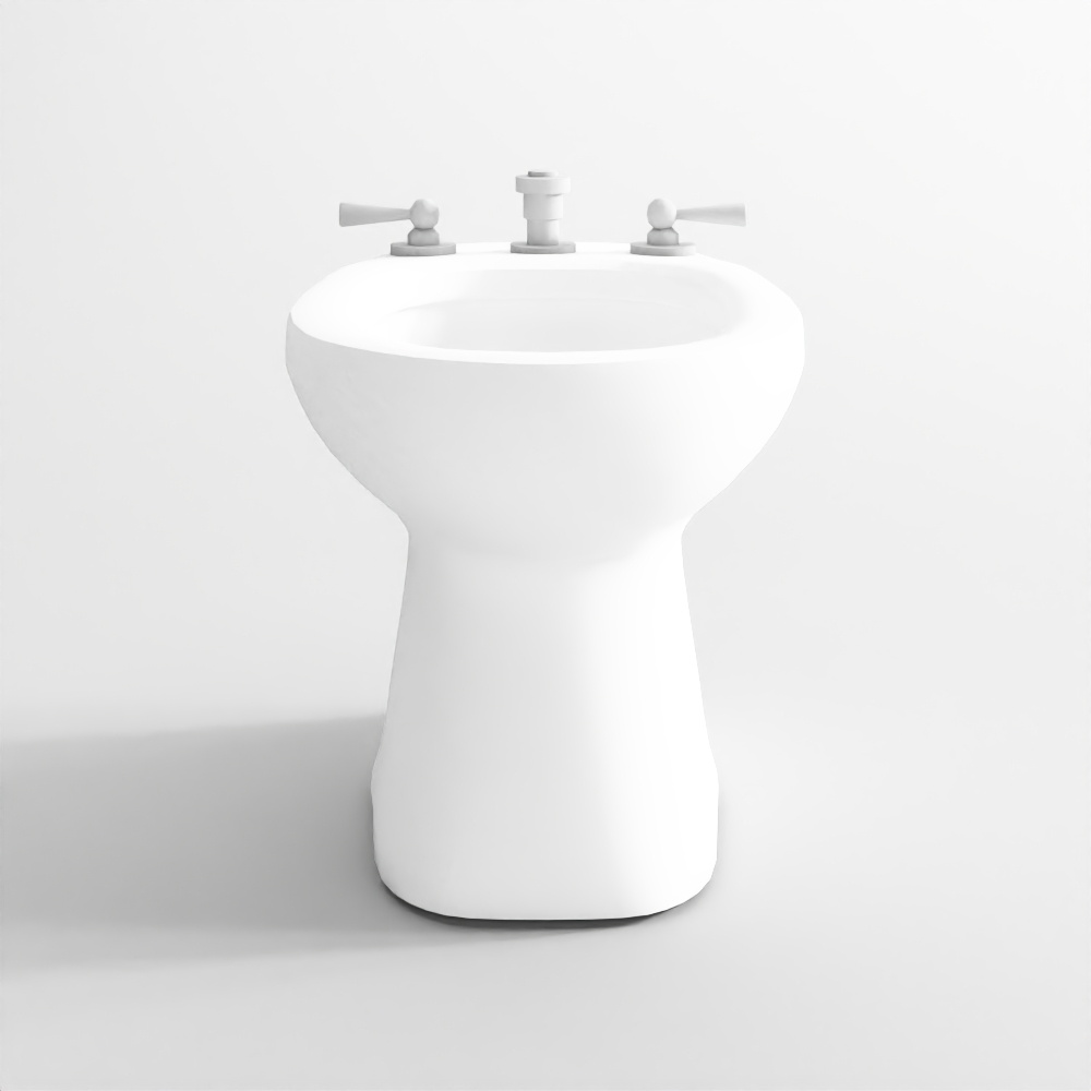 Bidet (23)