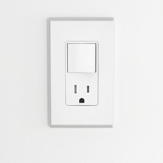 Decora Single-Pole Switch & Outlet Combination Device