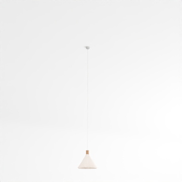 Stylish Fan-shaped Pendant Light 3D Model – Minimalist Design