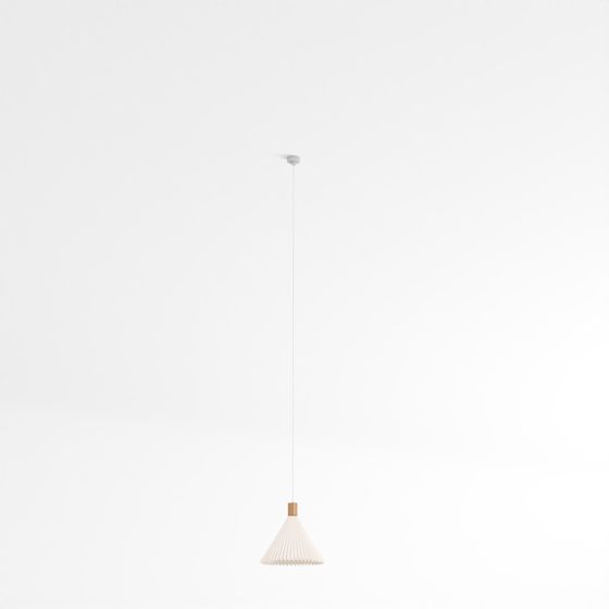 Stylish Fan-shaped Pendant Light 3D Model