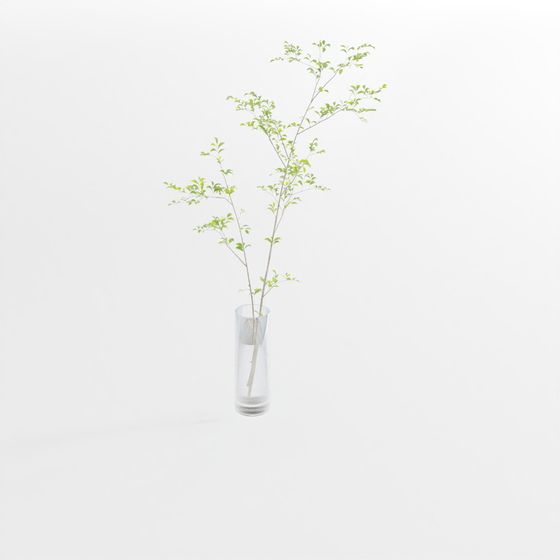 Nature's Beauty in Glass Vase 3D model
