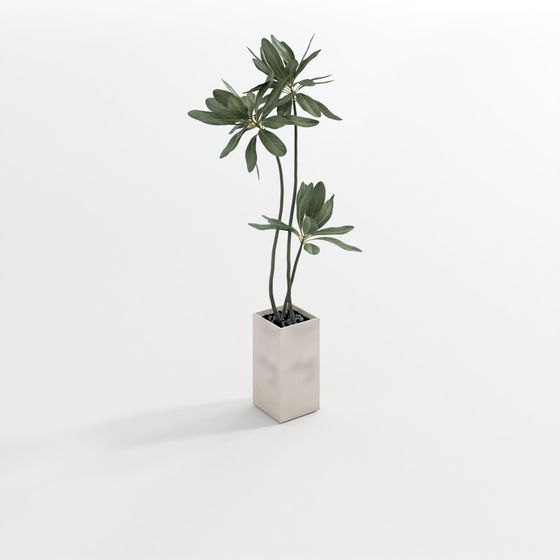 Urban Greenery 3D model - Low Poly Plant Pot