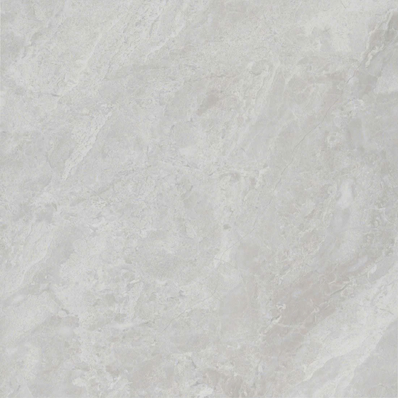 Light Gray Floor Tile