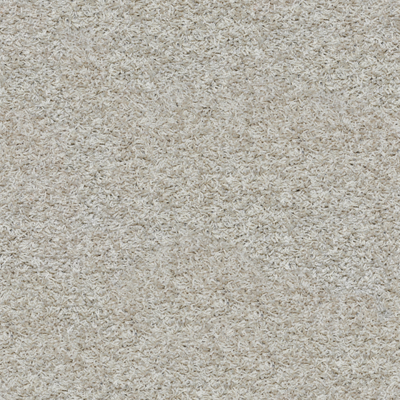 Carpet Main Seamless Large