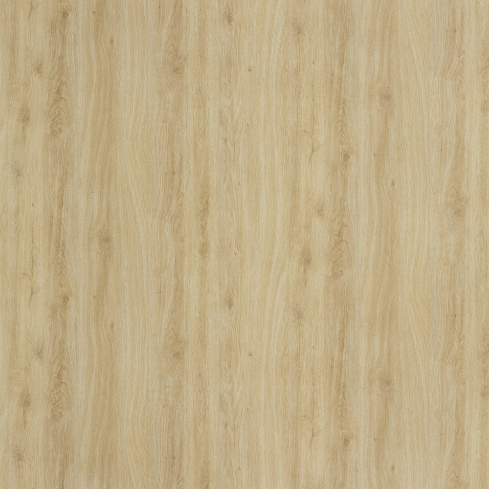 Wood Texture