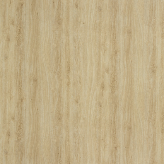Wood Texture