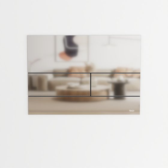 テセスクエアIIフラッシュプレート