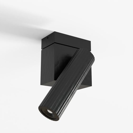 Prolix可調吸頂燈