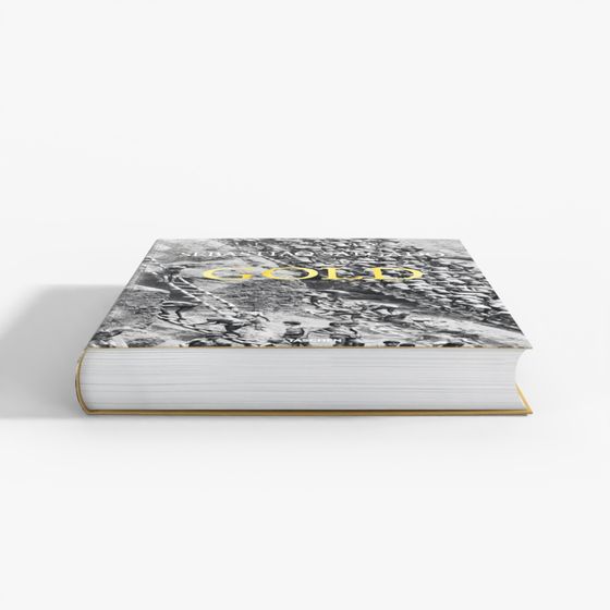 Sebastiao Salgado Gold Book