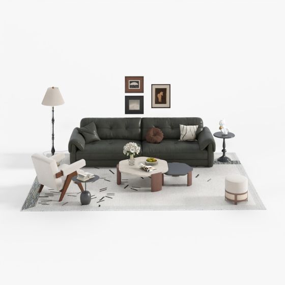 French Mid-Century Living Room Sofa Set