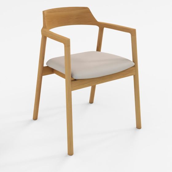Iloom Dining Armchair (1 Piece)