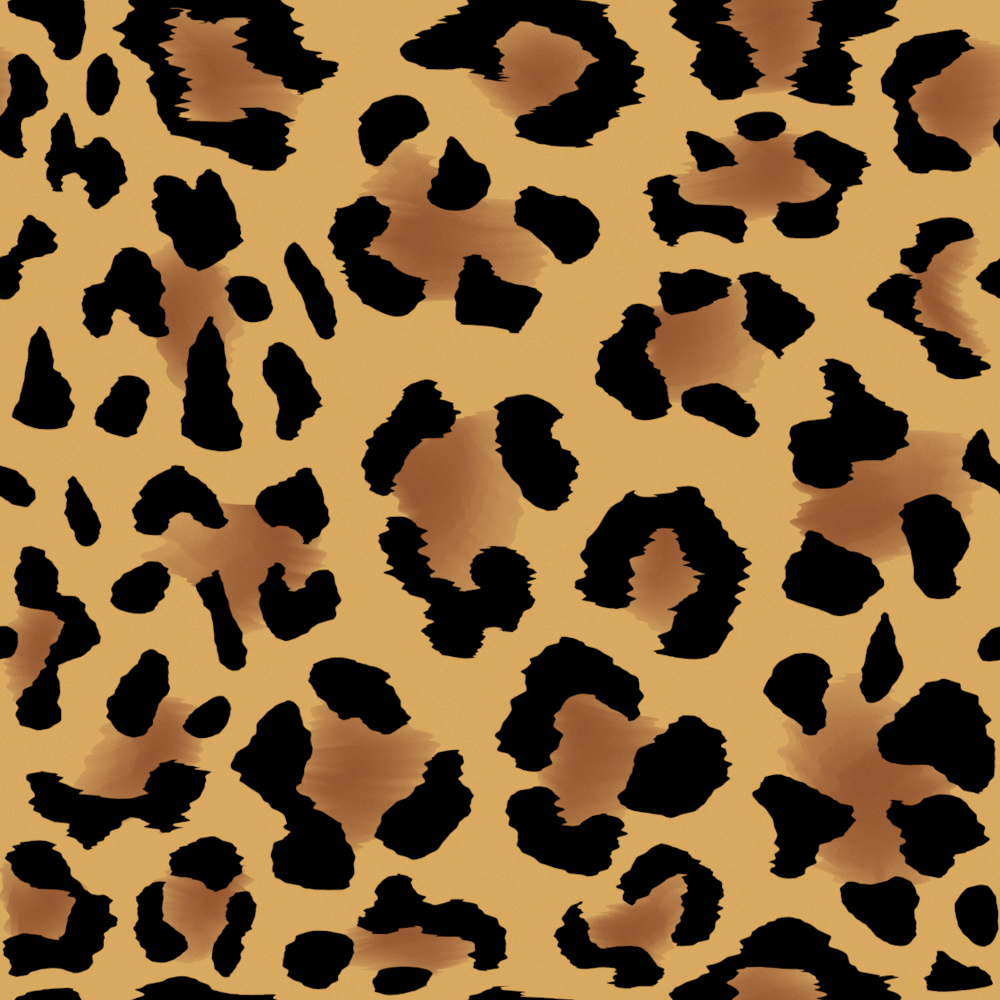 Cheetah 01