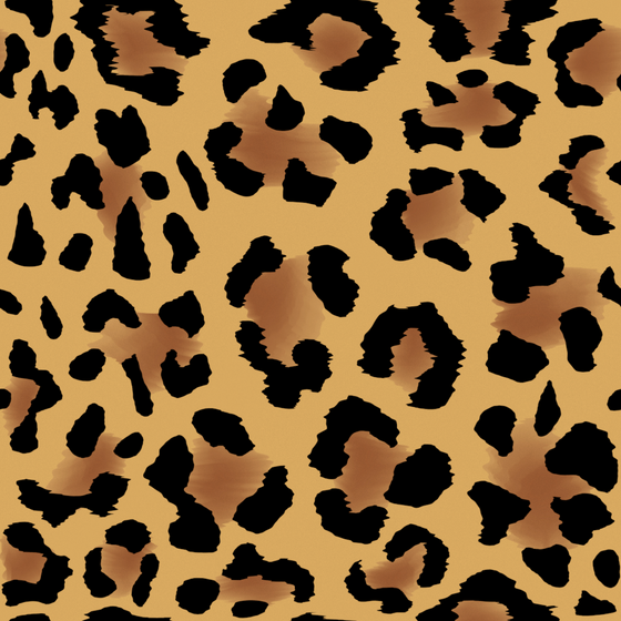 Cheetah 01
