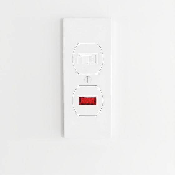 Neon Pilot AC Combination Switch, Commercial Grade