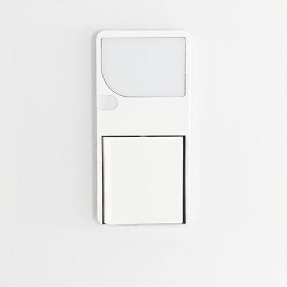 15 Amp Decora Combination Switch with LED Guide Light