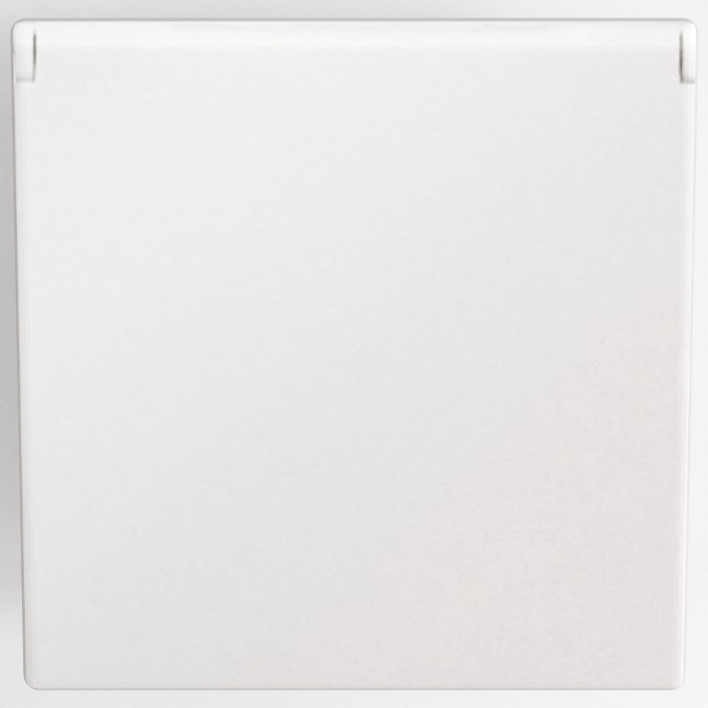 Arteor™ - Socket - German std - 16 A - 2P