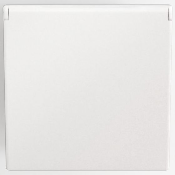 Arteor™ - Socket - German Standard - 16 A - 2P