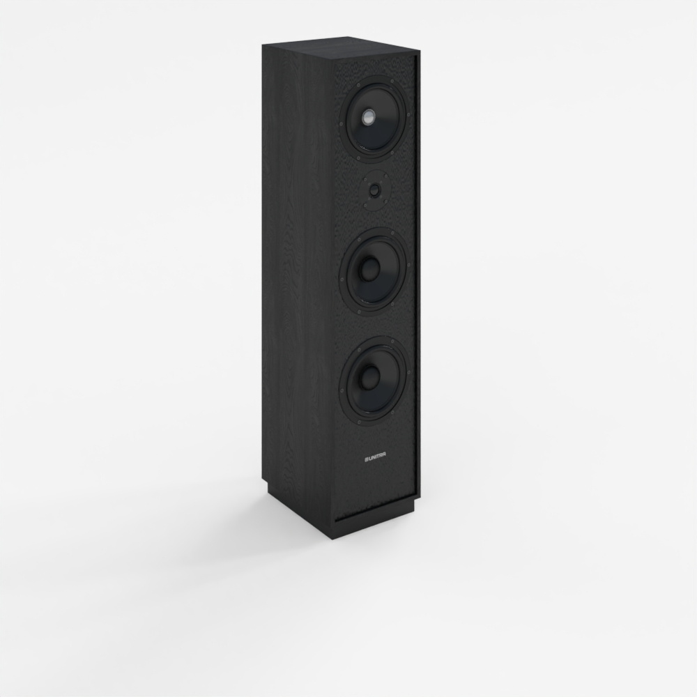 Système d'enceintes noir