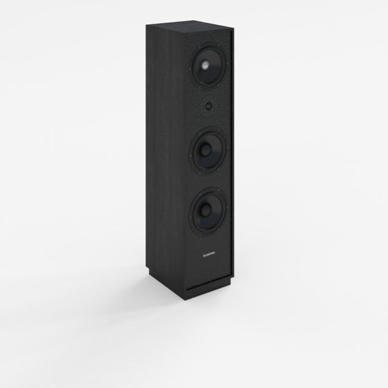 Système d'enceintes noir