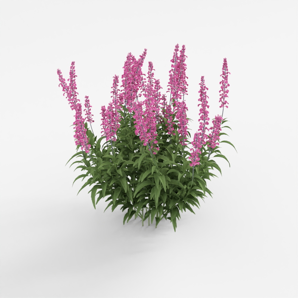 Arbusto Flor Morada 2-YJ