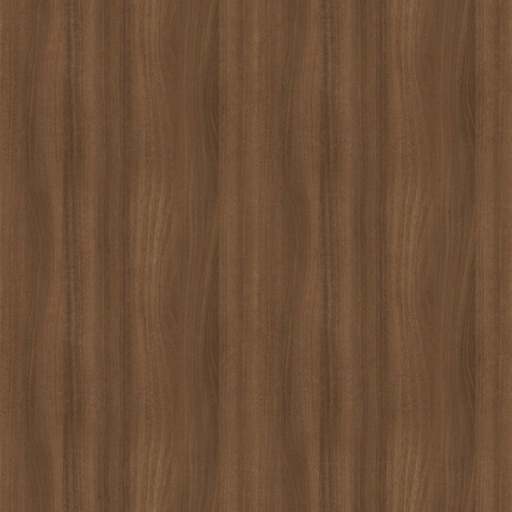 Walnut Texture