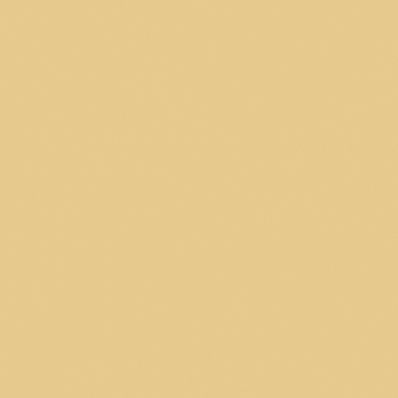 Y0077 Gentle Caramel