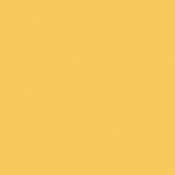 Y0062 Taste of Tropics