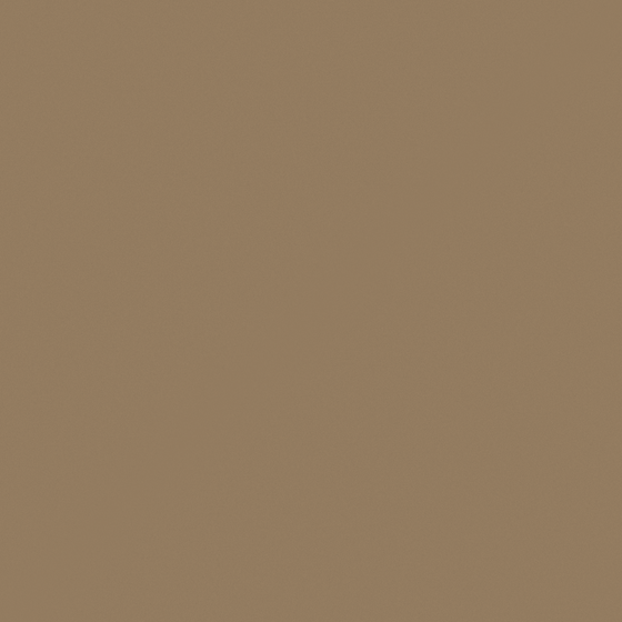 Y0128 Classic Caramel