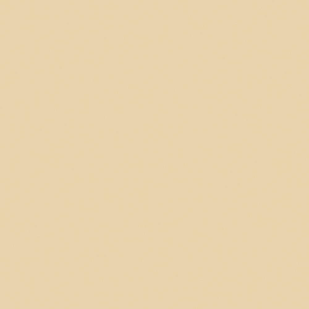 Y0126 Chicken Congee