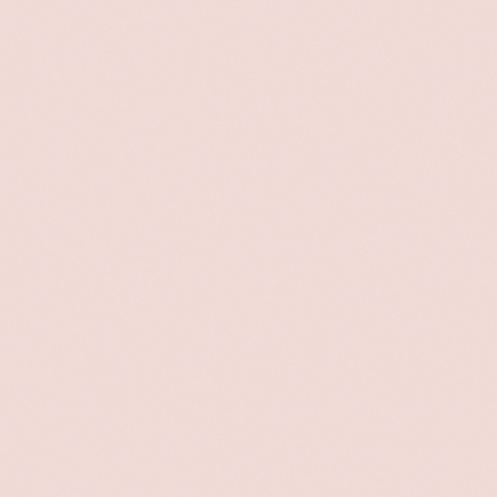 R2120 Himalayan Salt