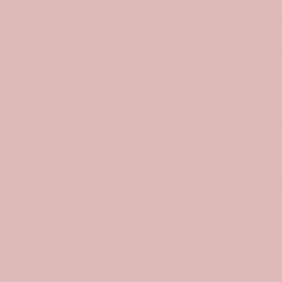 R2107 Sweet Shrimp Paste