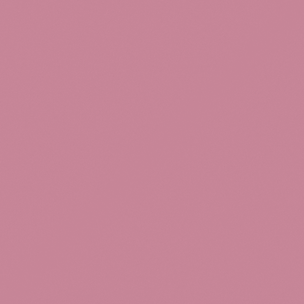 R2183 Pink Lady
