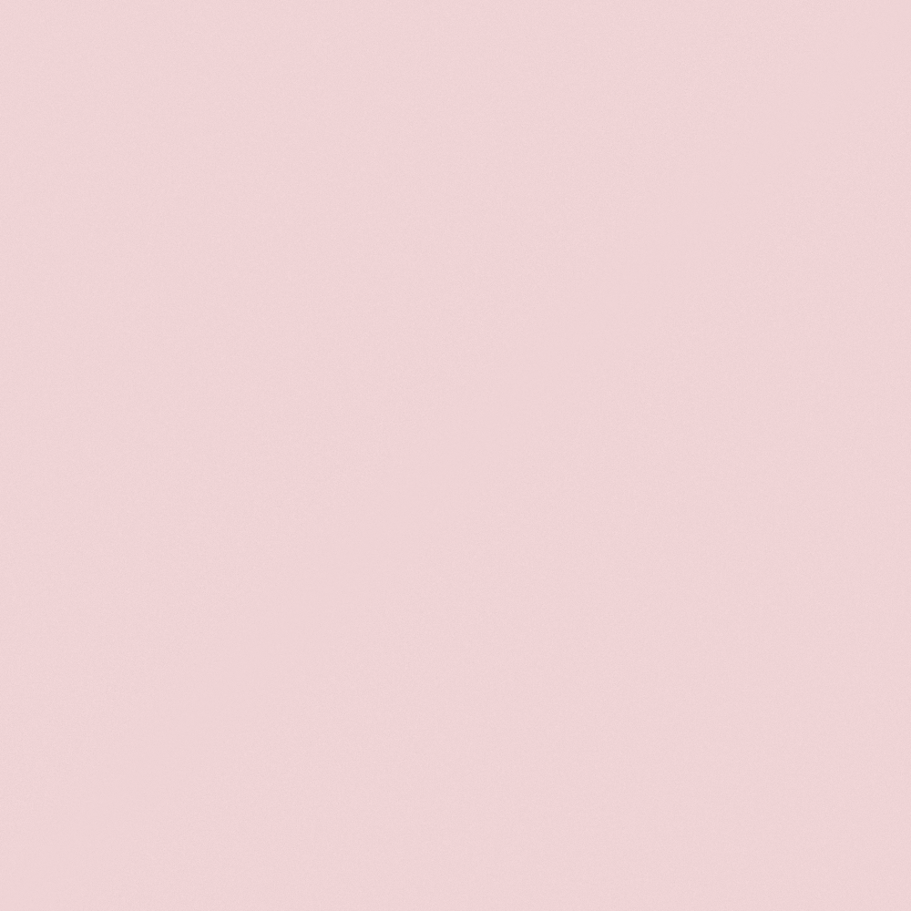 R2162 Powder Pink