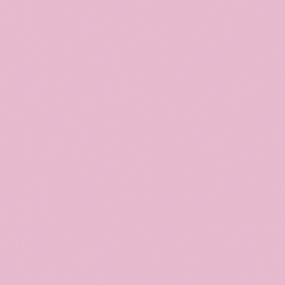 V3023 Vintage Beetle