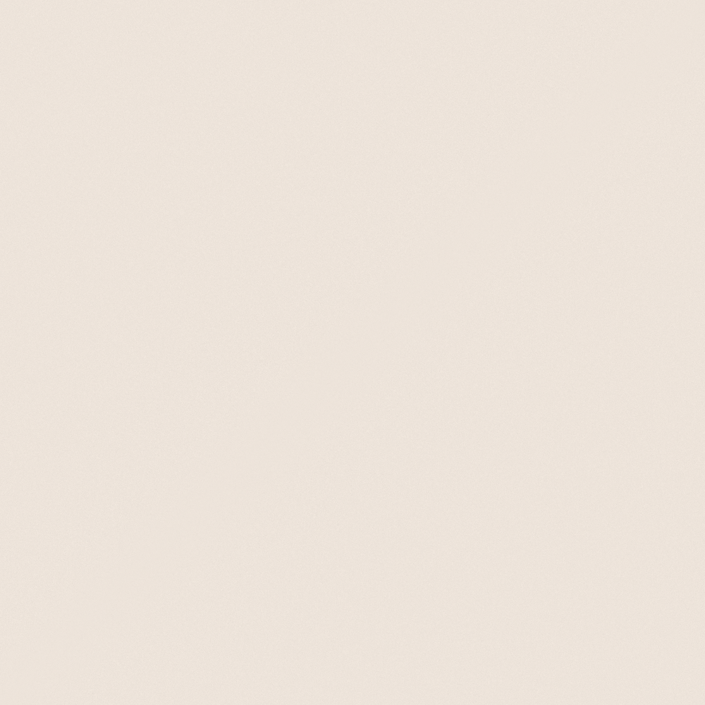 W9058 Egg Shell White