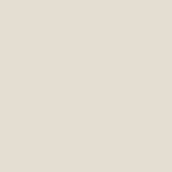 W9039 Mushroom White