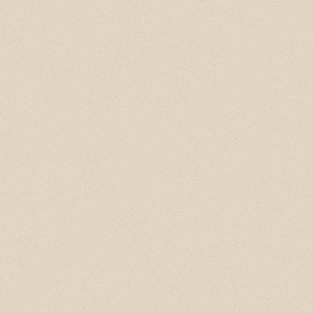 W9031 Caramel Ice Cream