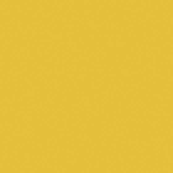 Y0038 Goldy like