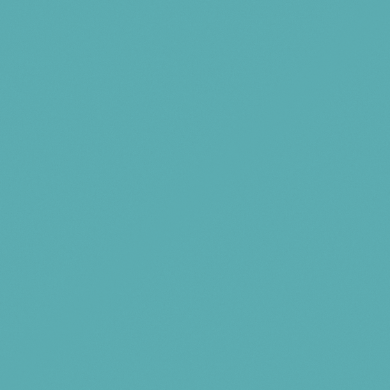 B4291 Tropical Shore