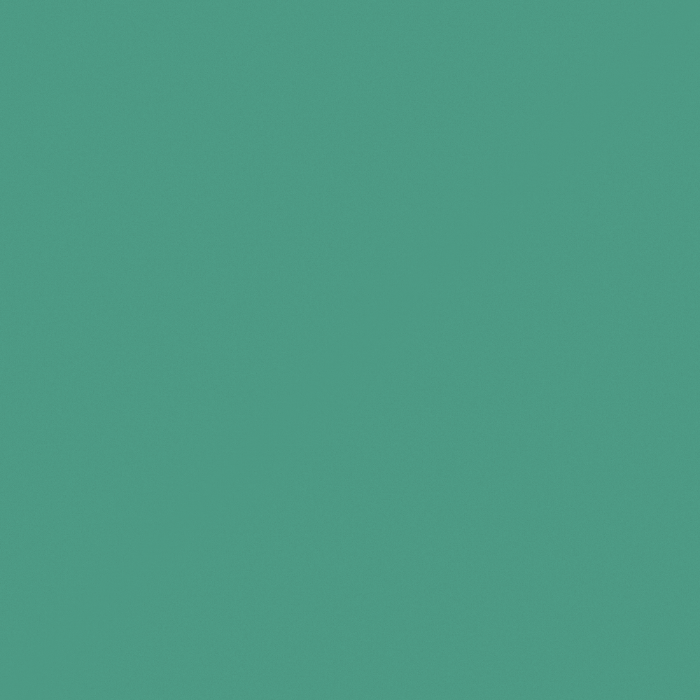 G5093 Hippies Holiday