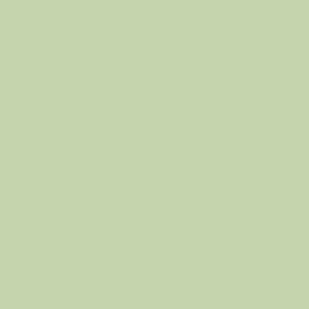 G5258 Antique Green Lace