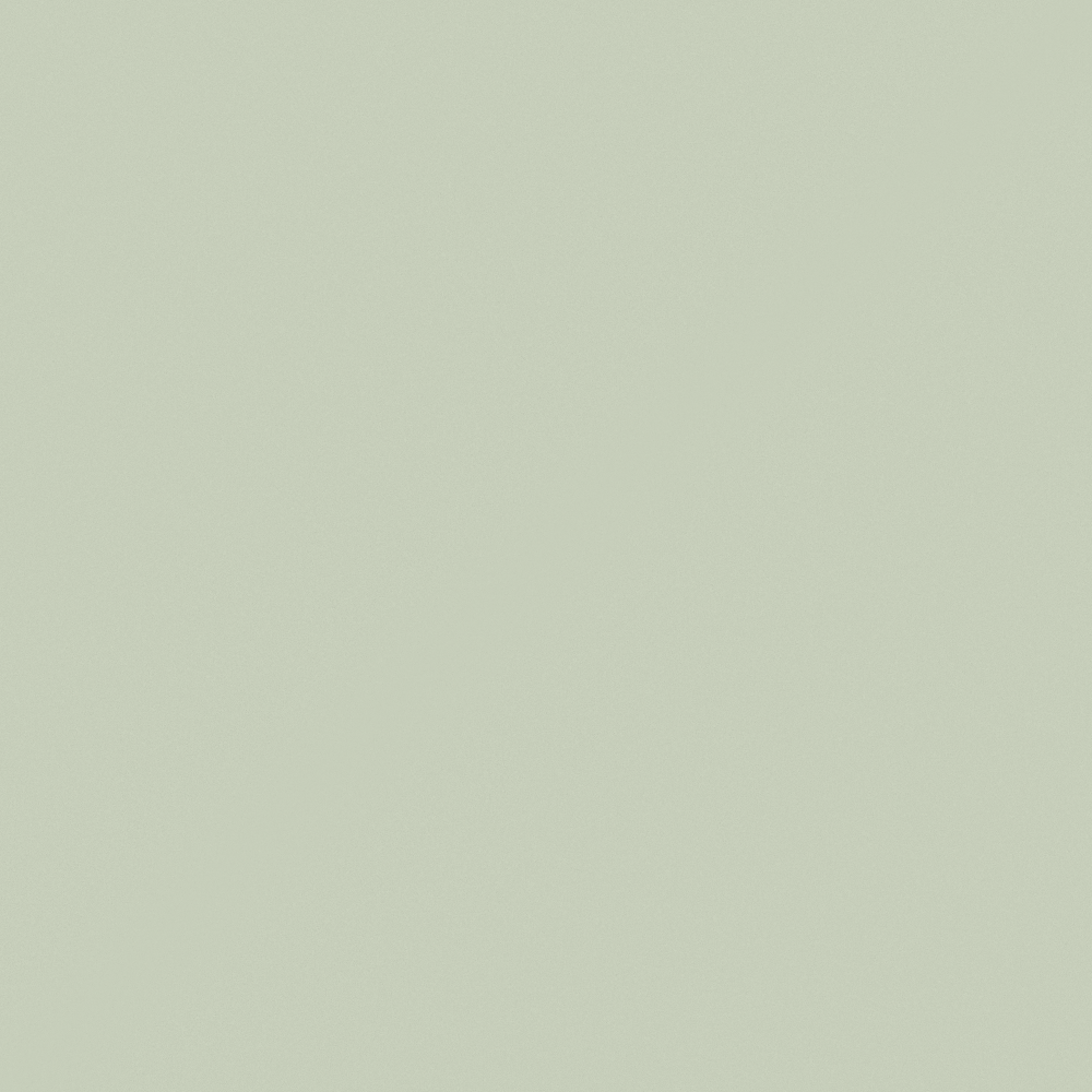 G5276 Lush in Forest