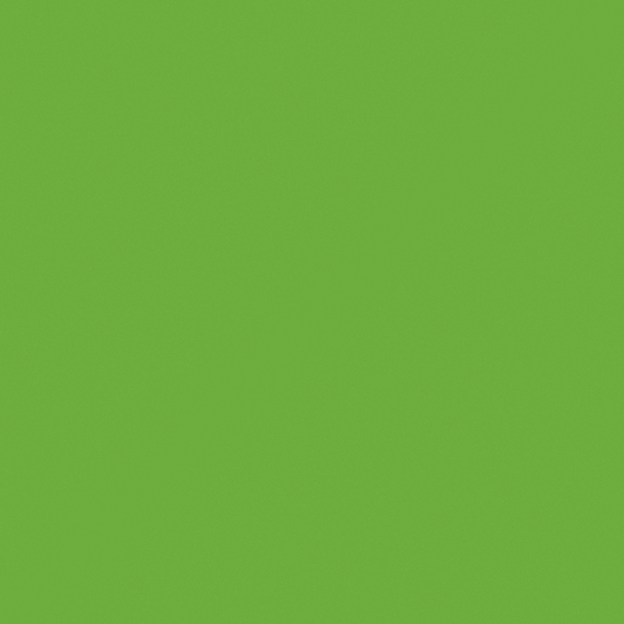 G5206 Forest Guardian