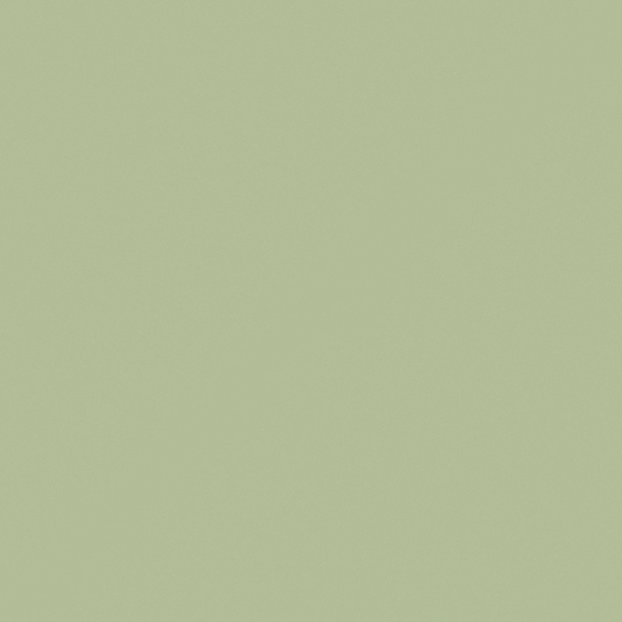 G5298 Bleach Olive